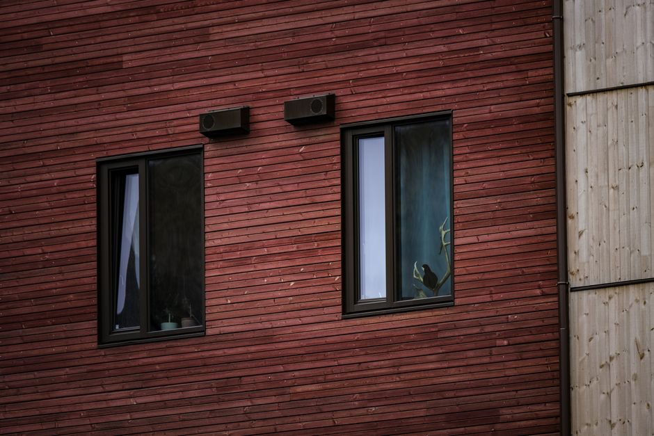 Modern home exterior featuring new energy efficient replacement windows